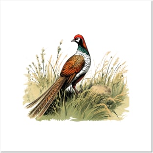 Pheasant Posters and Art